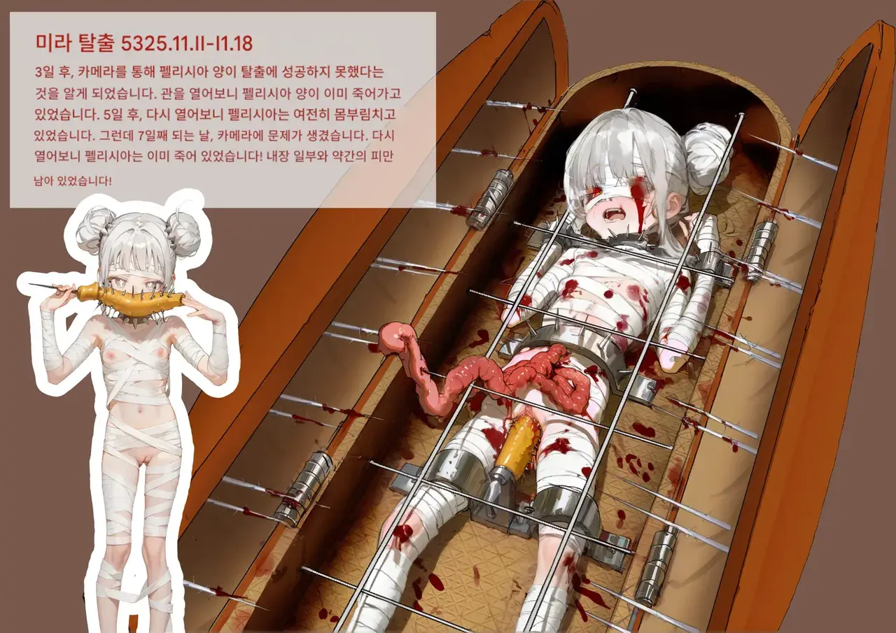 펠리시아씨의 퍼포먼스 앨범